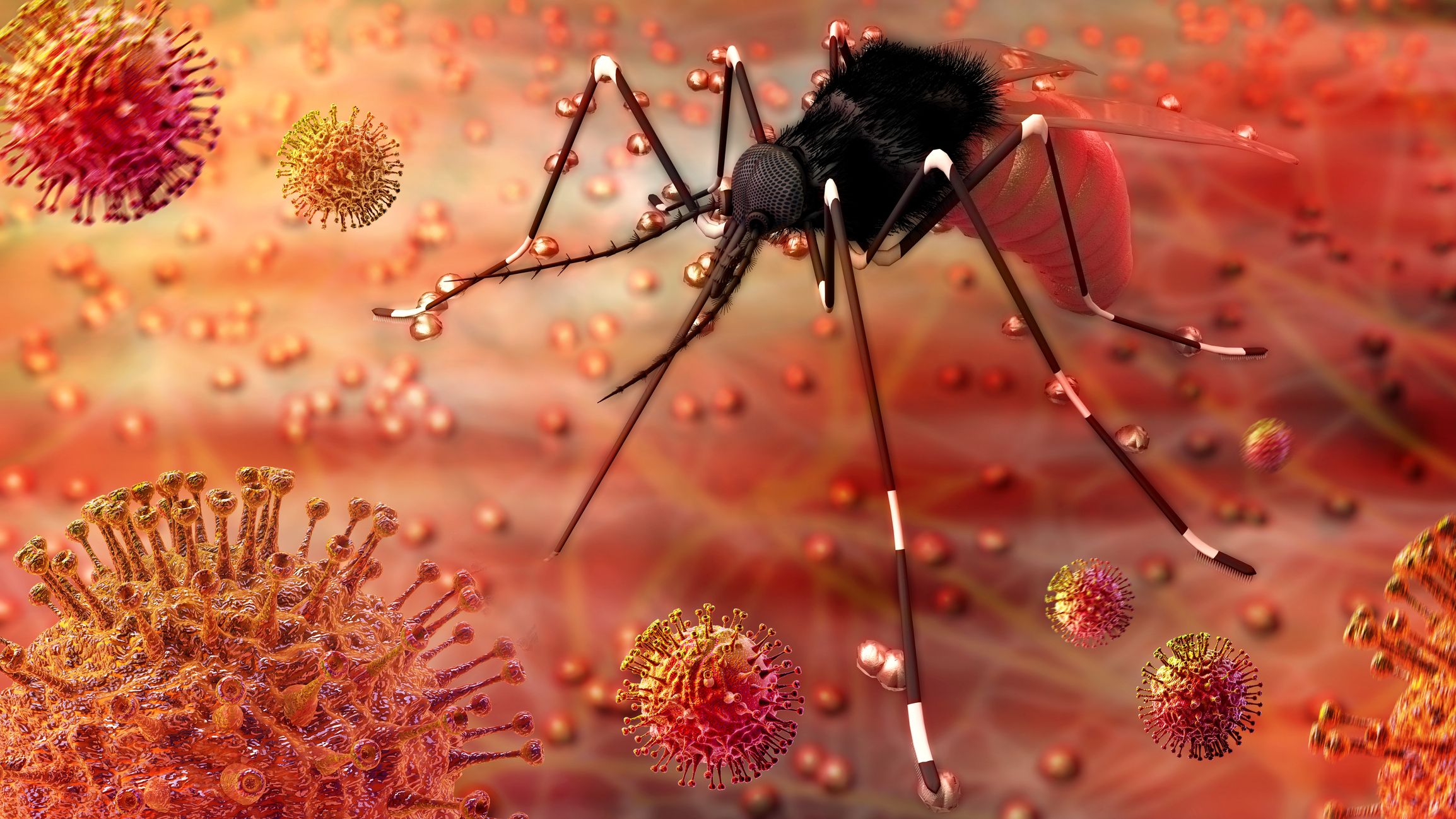 Conoce diez enfermedades transmitidas por mosquitos