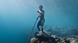 Buceador bajau