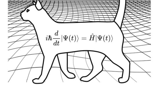 Gato