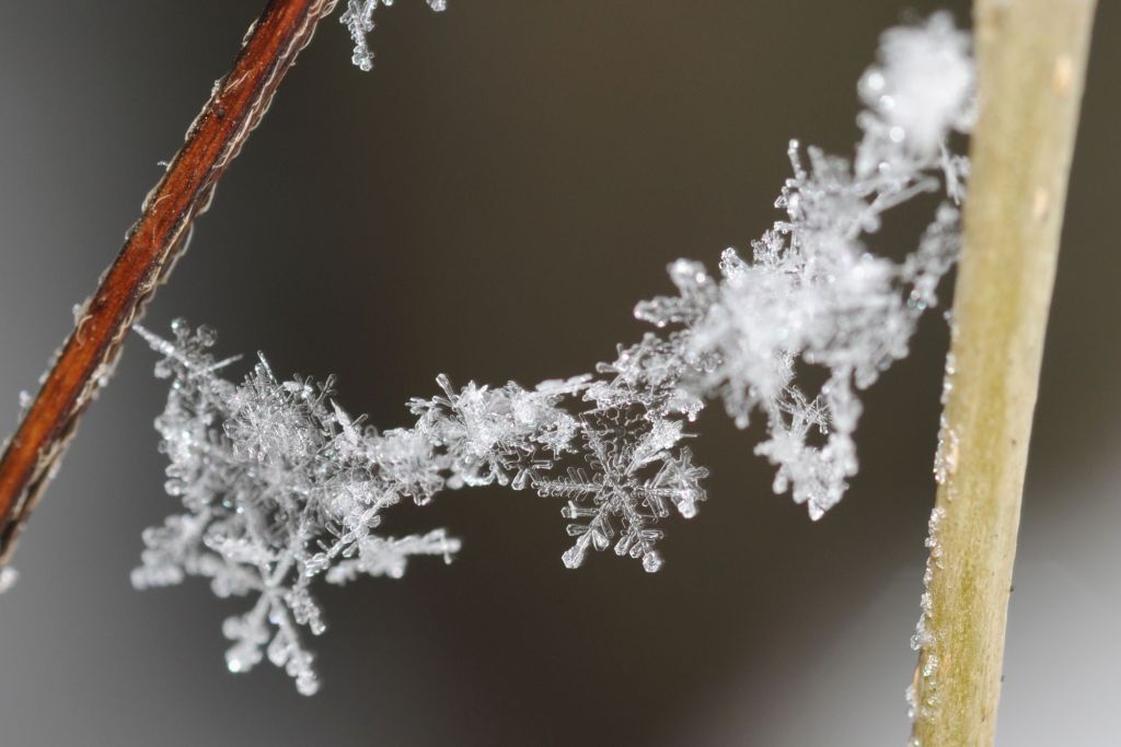 ¿Cómo se forman los copos de nieve? La ciencia responde