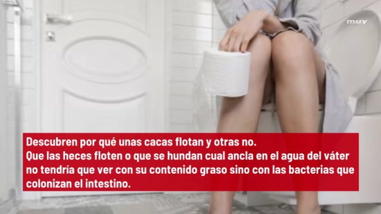 Descubren Por Qué Unas Cacas Flotan Y Otras No