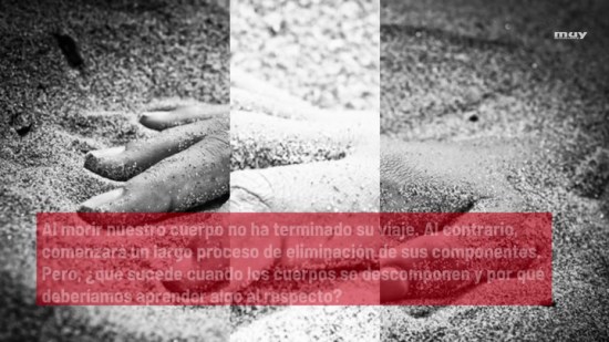 ¿Qué Le Pasa Al Cuerpo Cuando Morimos?