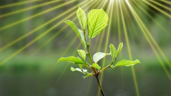 ¿Sabías que casi toda la energía que utilizas procede del sol?