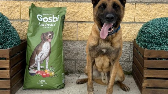 Gosbi y Adopta K9