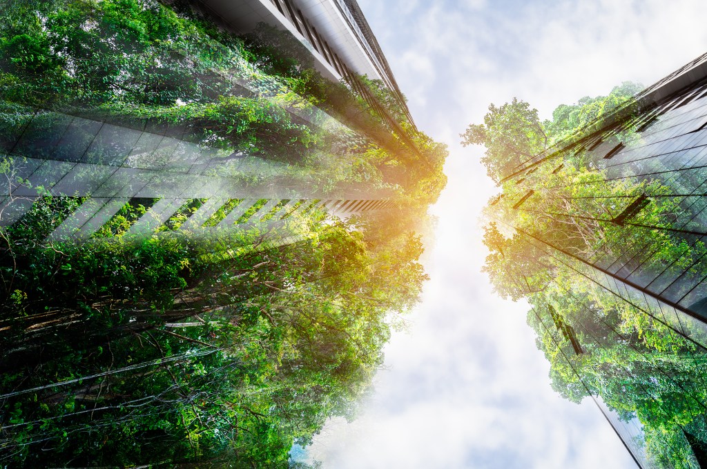 Pueden convertirse las ciudades en santuarios de biodiversidad