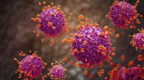 Algunos retrovirus