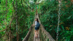 Las selvas más espectaculares del mundo