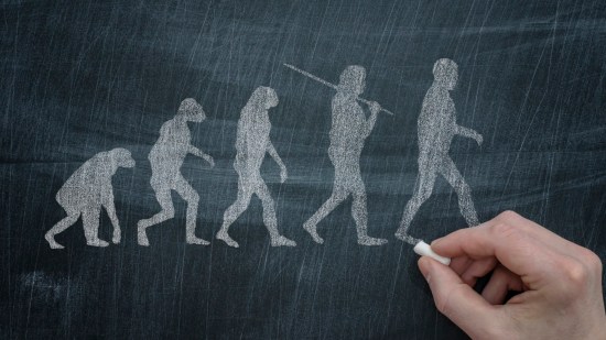 ¿Evolución humana?