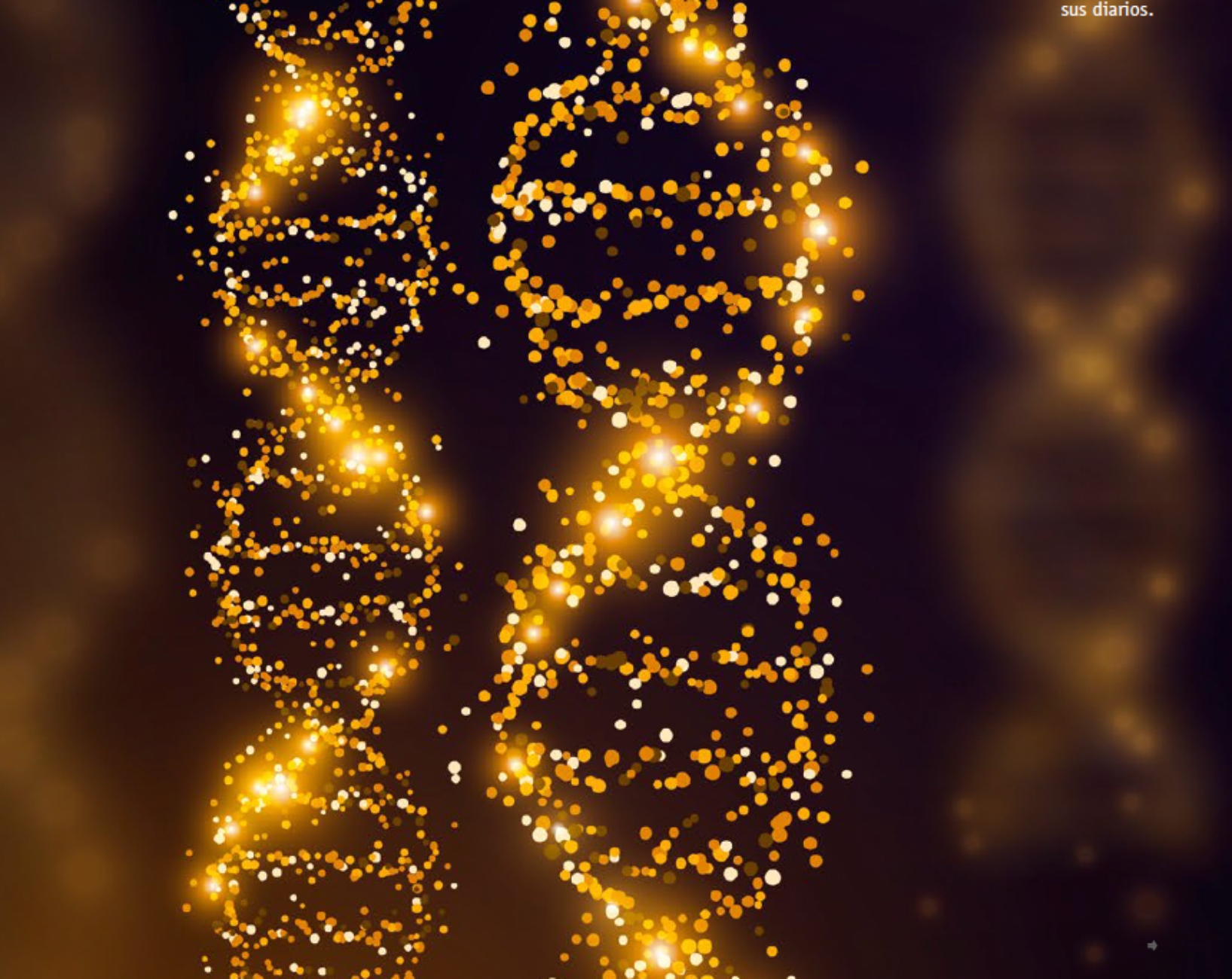 ADN neandertal