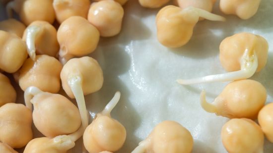 Garbanzos