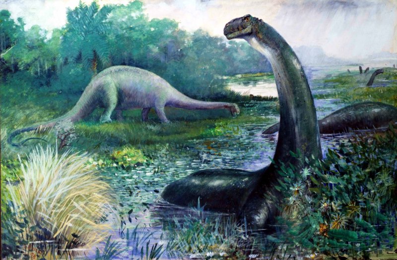 Recreación decimonónica de Apatosaurus y Diplodocus