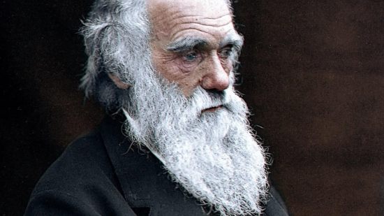 Así puedes chatear con Darwin usando inteligencia artificial
