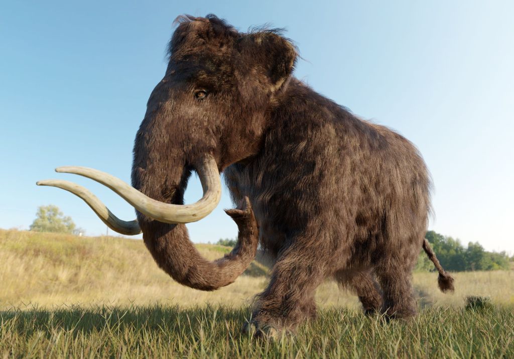 Recreación de mamut lanudo