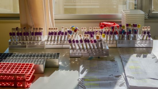 ¿Realmente sabemos lo que es la ciencia?