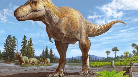 Recreación de ‘Tyrannosaurus mcraensis’