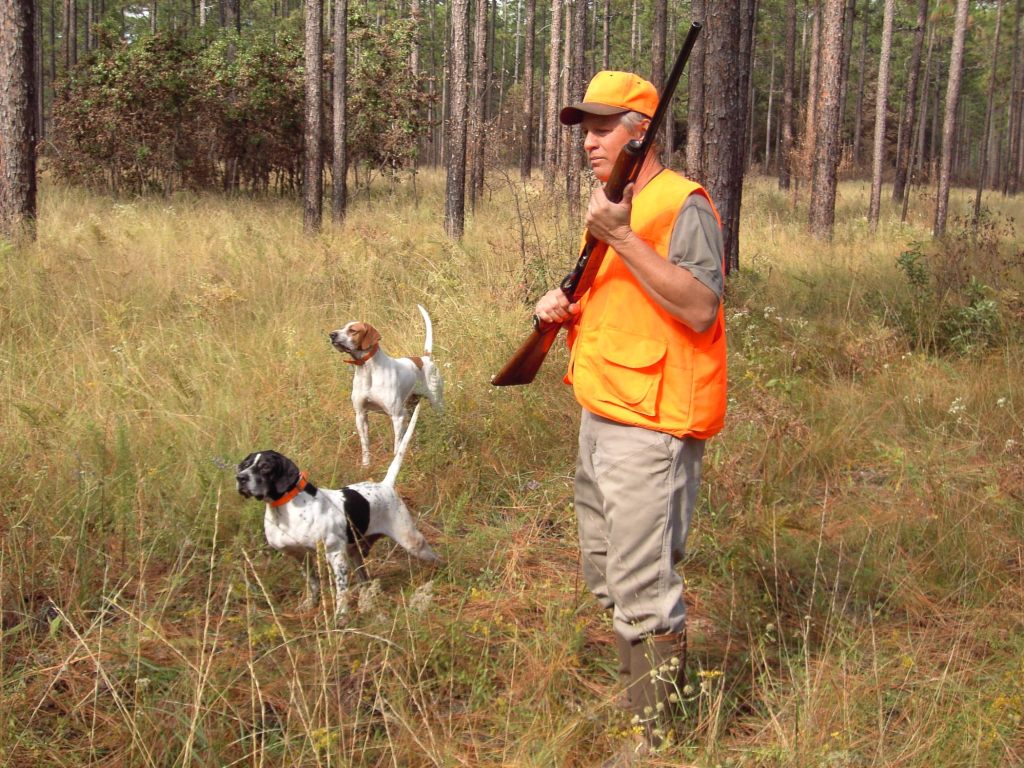 Cazador con sus dos perros