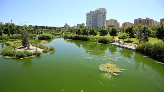 Parque de La Marjal, en Alicante