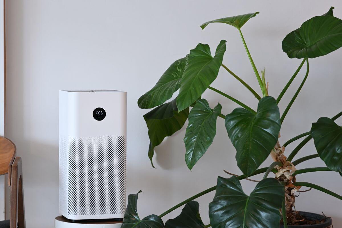 purificador de aire de Xiaomi