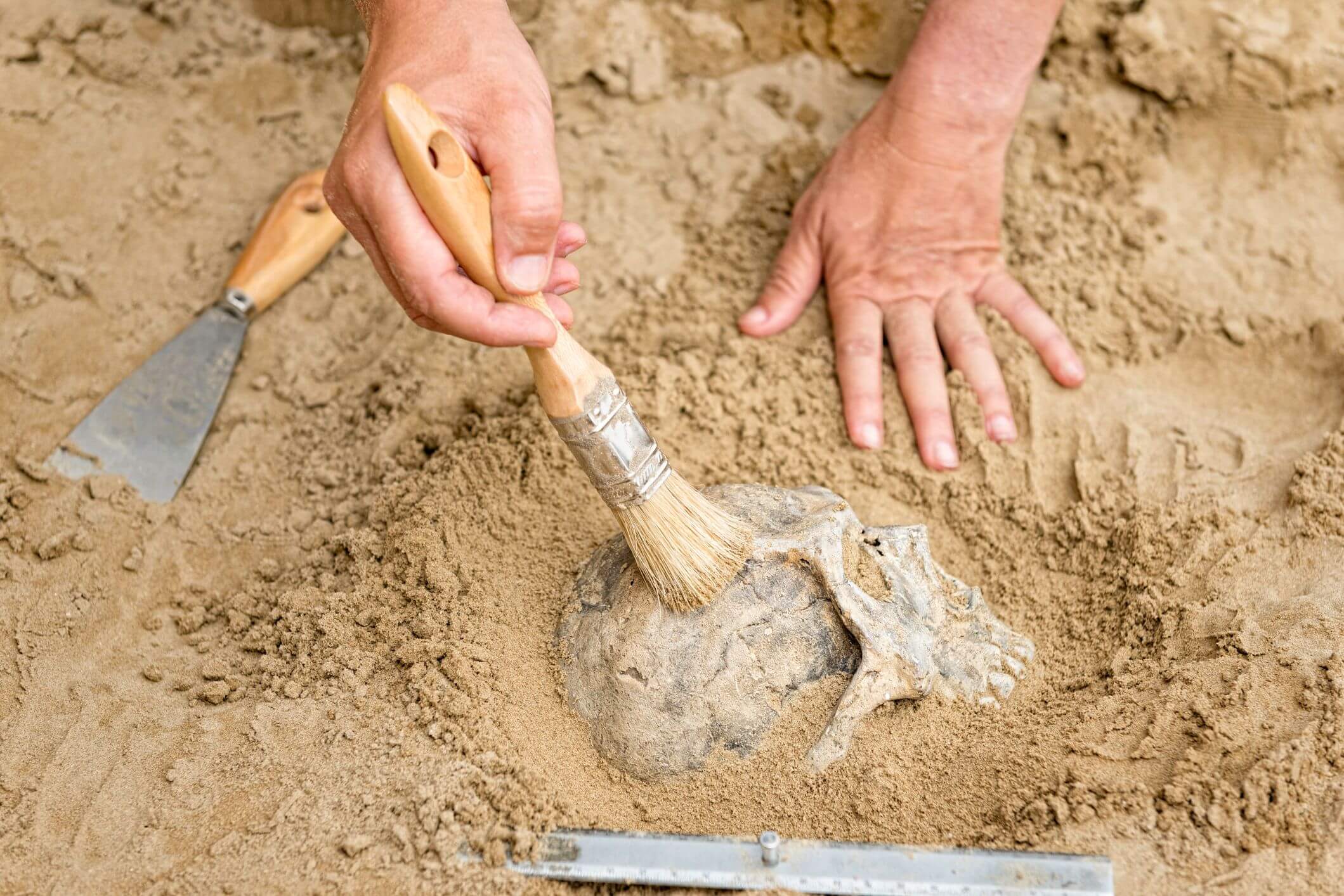 Excavación arqueológica