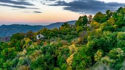 ¿Cuál es el parque natural más grande de España?