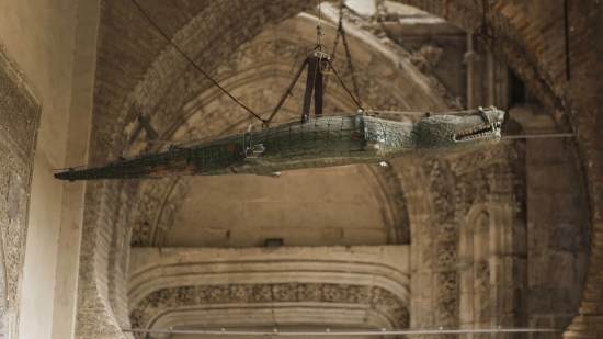 Cocodrilo en la catedral de Sevilla