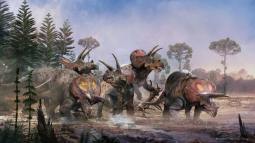 Recreación de un grupo de Triceratops
