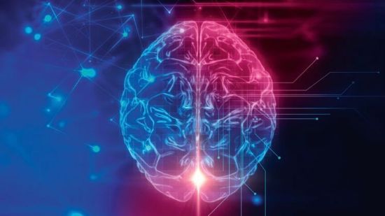 El reto del cerebro