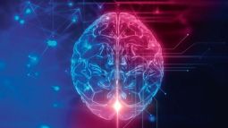 El reto del cerebro