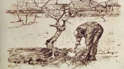 En la huerta Van Gogh