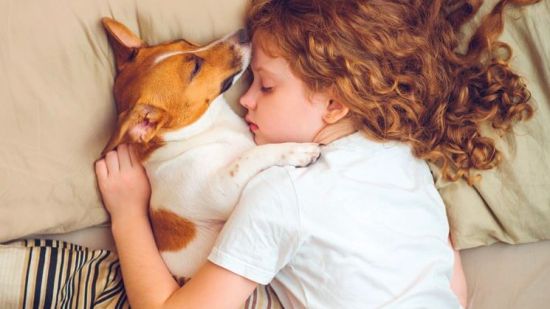 Perrito durmiendo