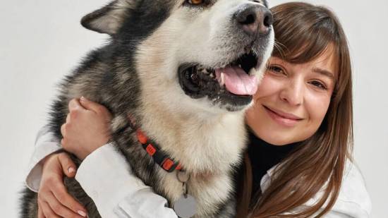 Husky