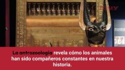 Mascotas antiguas: explorando la conexión humano-animal a través de la Antrozoología ( John Bradshaw)