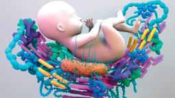 Microbiota útero