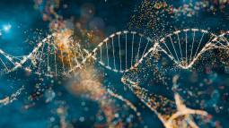 Genes denisovanos