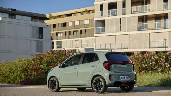 Picanto41