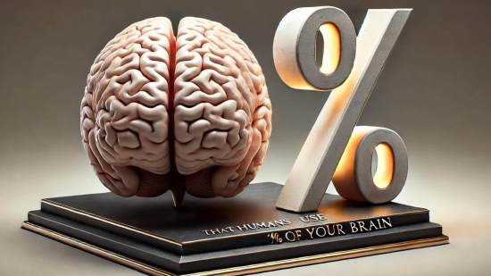 ¿Utilizamos solo el 10% del cerebro?