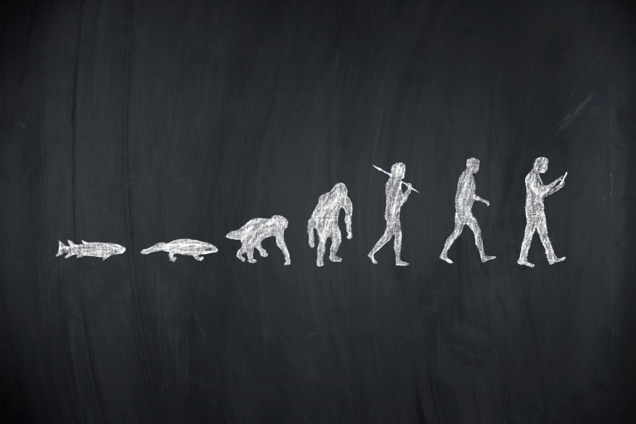 Evolución de la vida