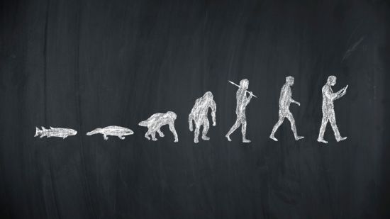 Evolución de la vida
