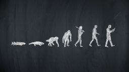 Evolución de la vida
