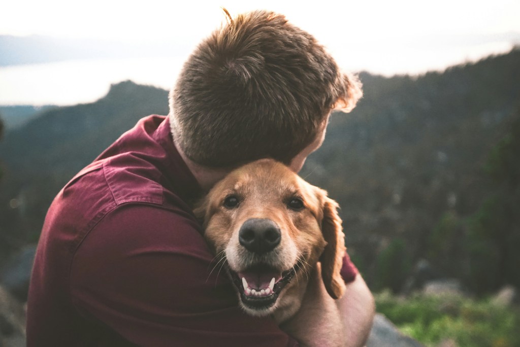 Perro y humano