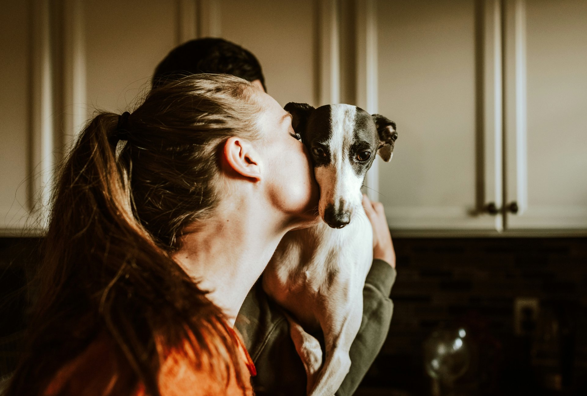 Perro y humano