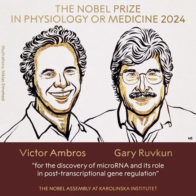 Cartel oficial del Premio Nobel de Fisiología o Medicina 2024
