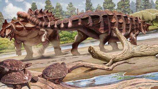 Ankylosaurid