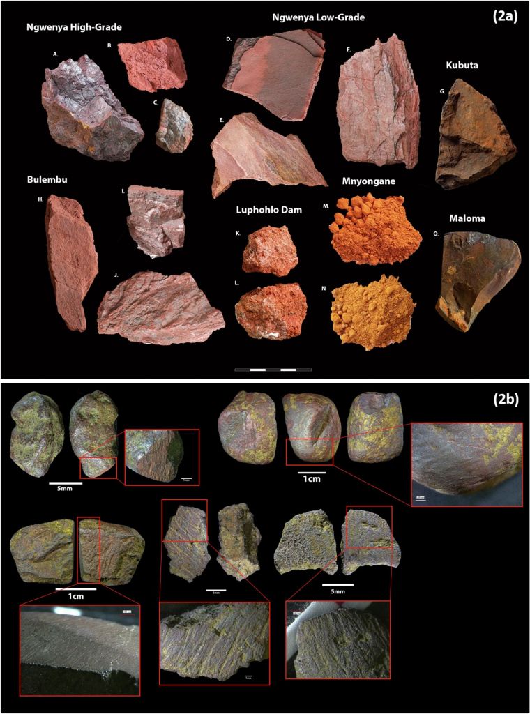 Restos hallados en la Cueva del León
