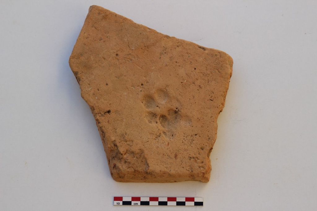 Fragmento de una losa de terracota que conserva la huella de una pata de perro, cuya función original aún es un misterio
