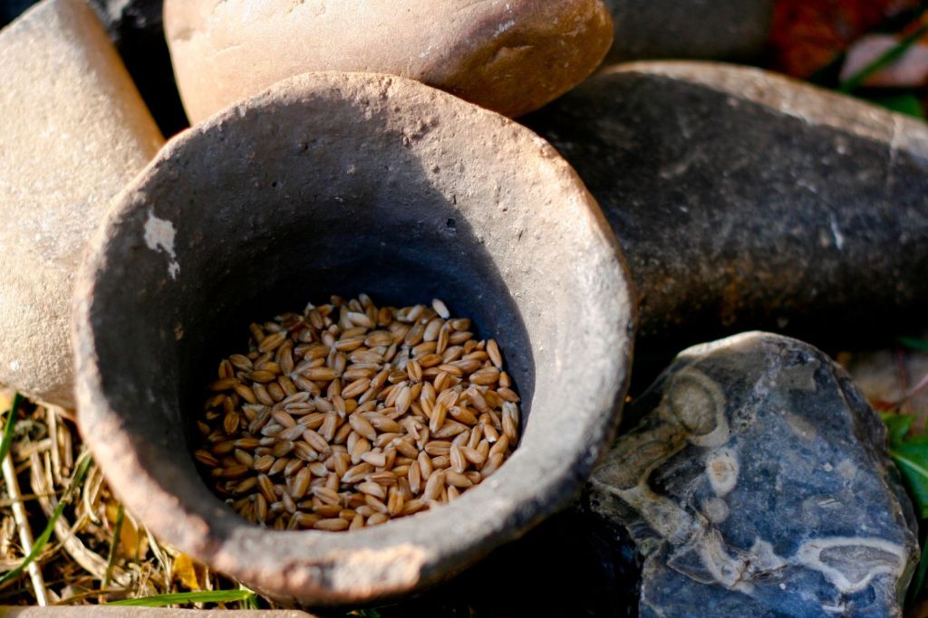 La agricultura en el Neolítico