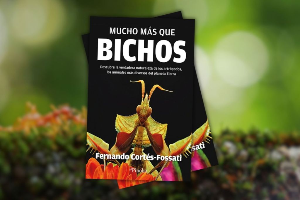 Mucho más que bichos
