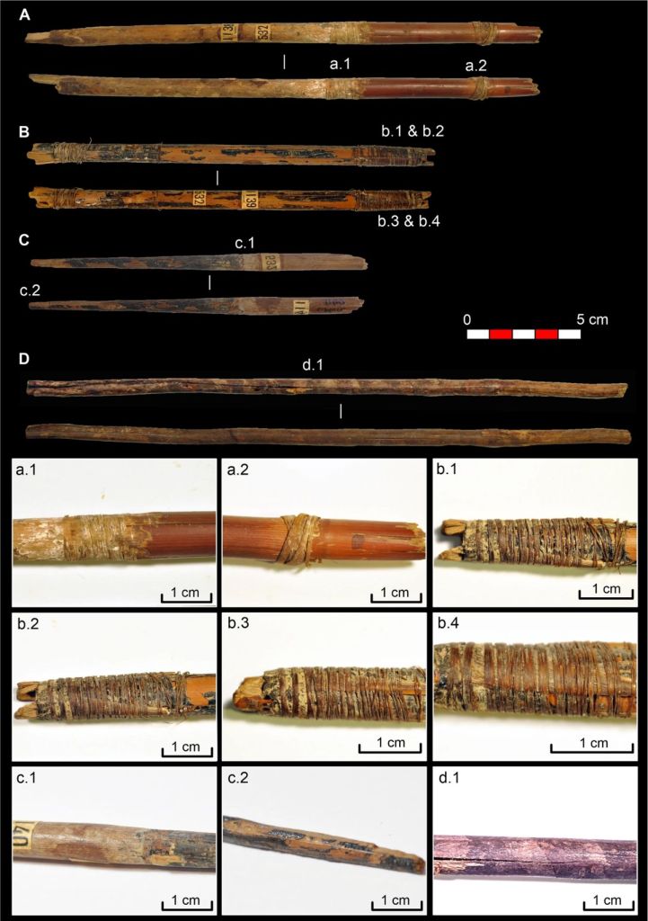 Astiles y puntas de flecha de origen vegetal