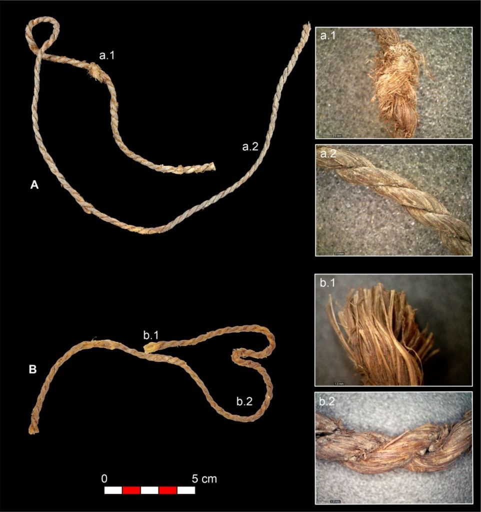 Fragmentos de cordaje de la Cueva de los Murciélagos identificados como posibles cuerdas de arco