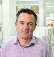 Javier González Maeso